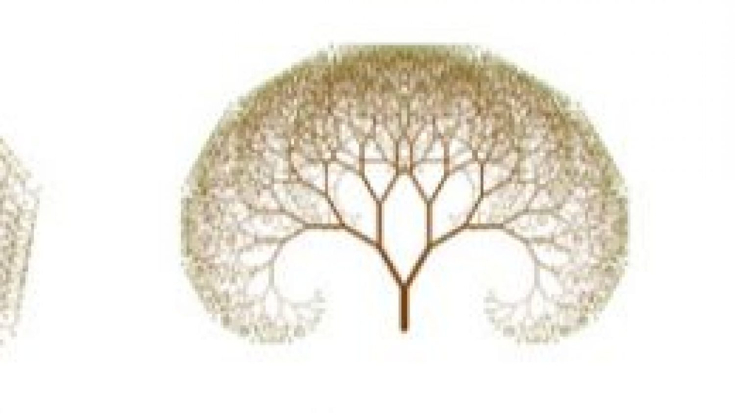 Digital Trees